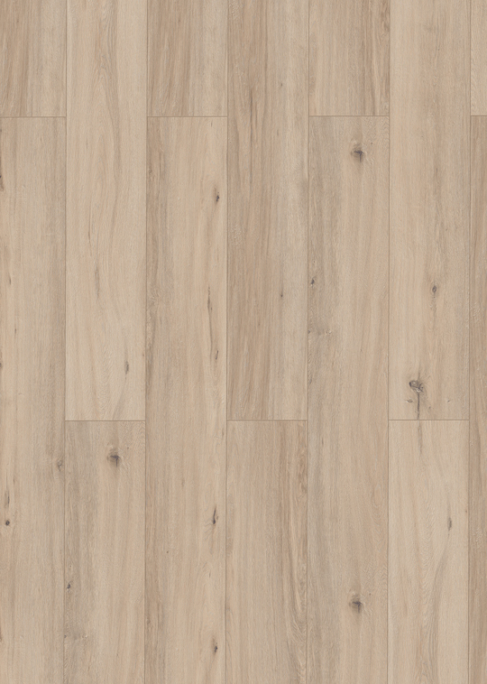 Lungo - Afbeelding 2