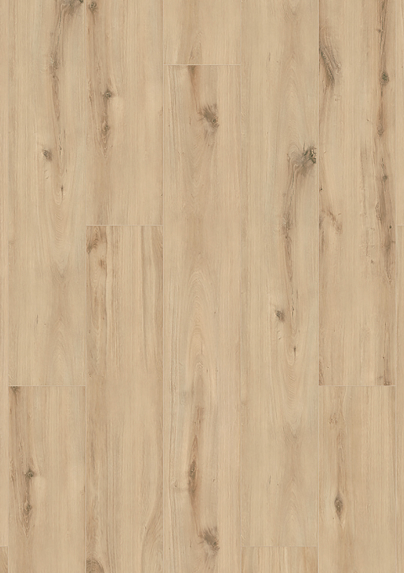 Premium Wide Body - Afbeelding 3