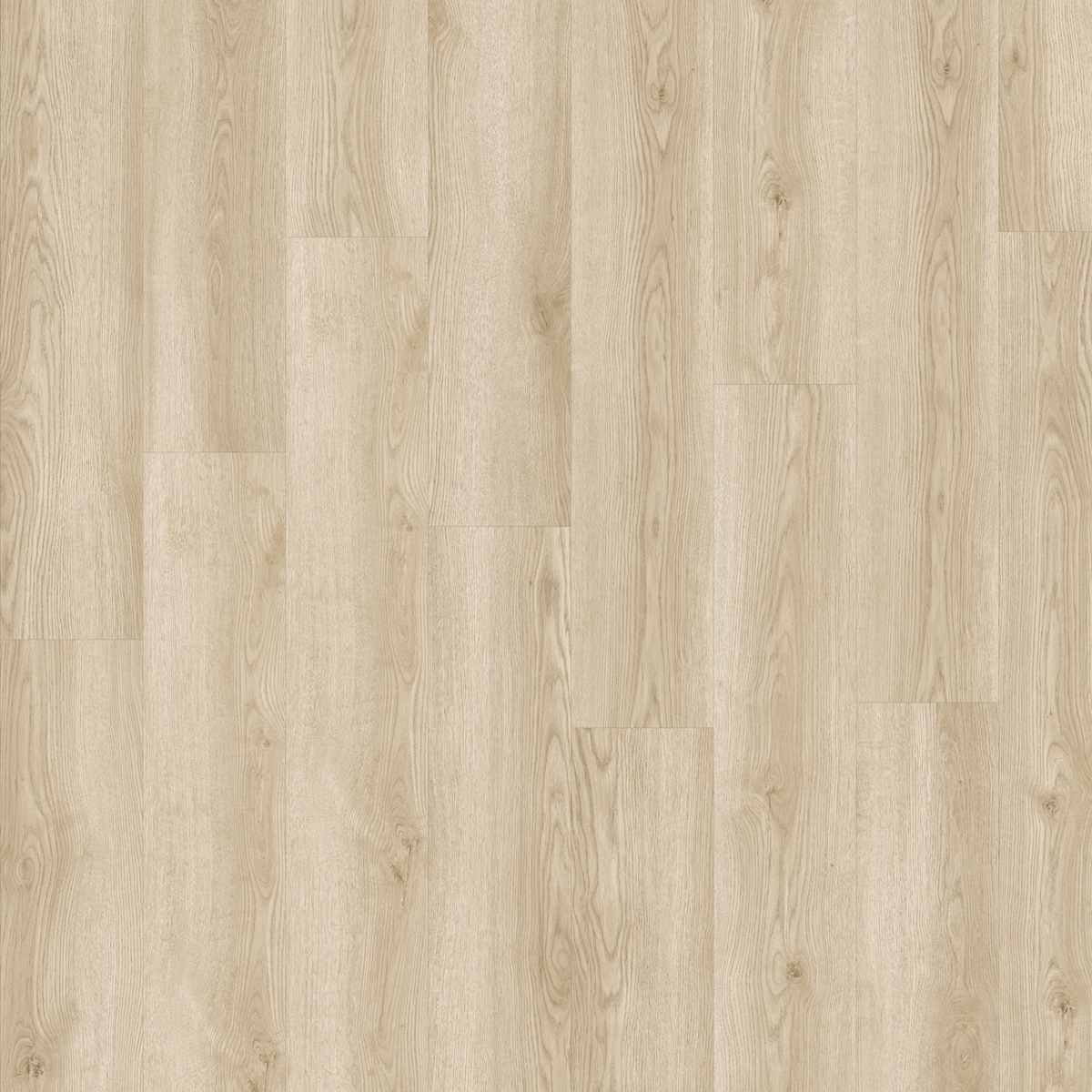 Solviere - Afbeelding 4