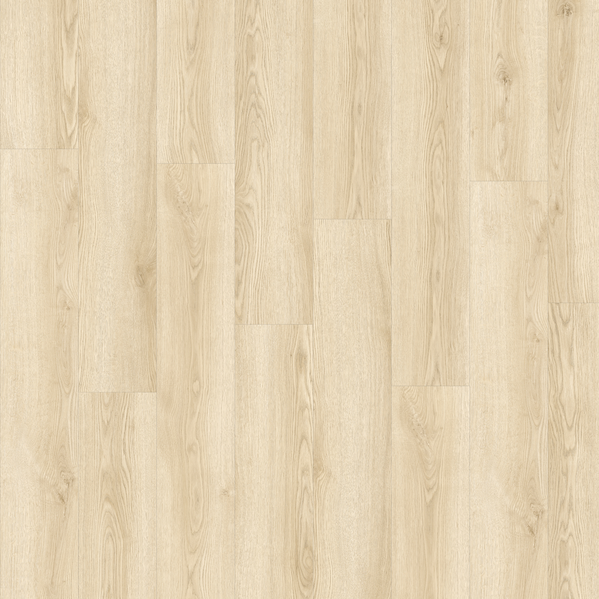 Solviere - Afbeelding 8