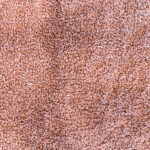 Lifestyle-Interior HONEY 11 POWDER