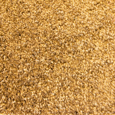 Lifestyle-Interior COLOURFUL 350 CITRUS