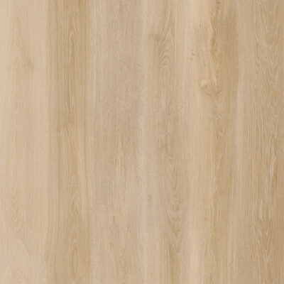 Lifestyle-Interior WALK ON ME 20606