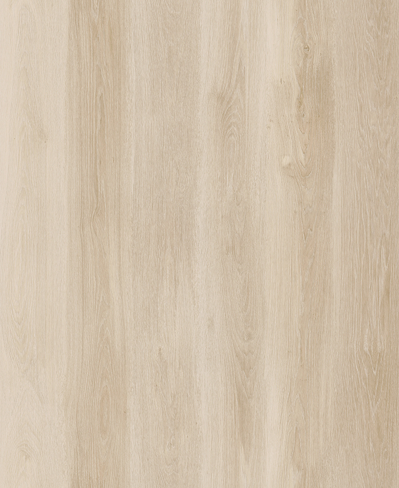 Lifestyle-Interior WALK ON ME CLICK 20603