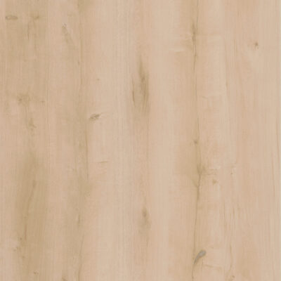 Lifestyle-Interior WALK ON ME CLICK 20609