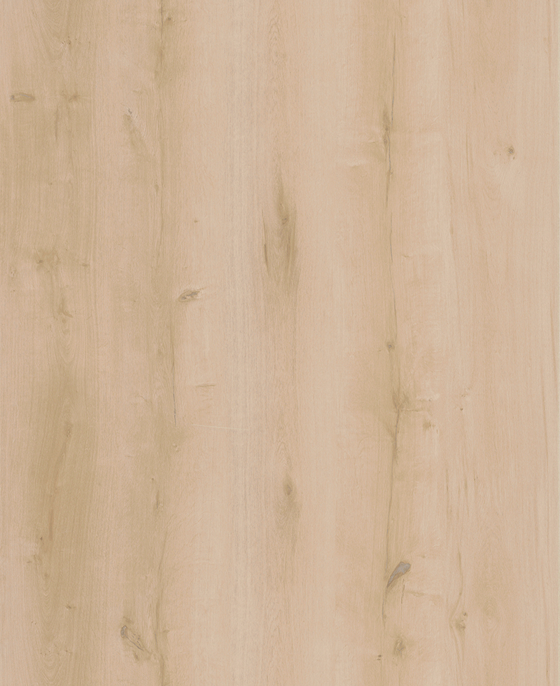 Lifestyle-Interior WALK ON ME CLICK 20609